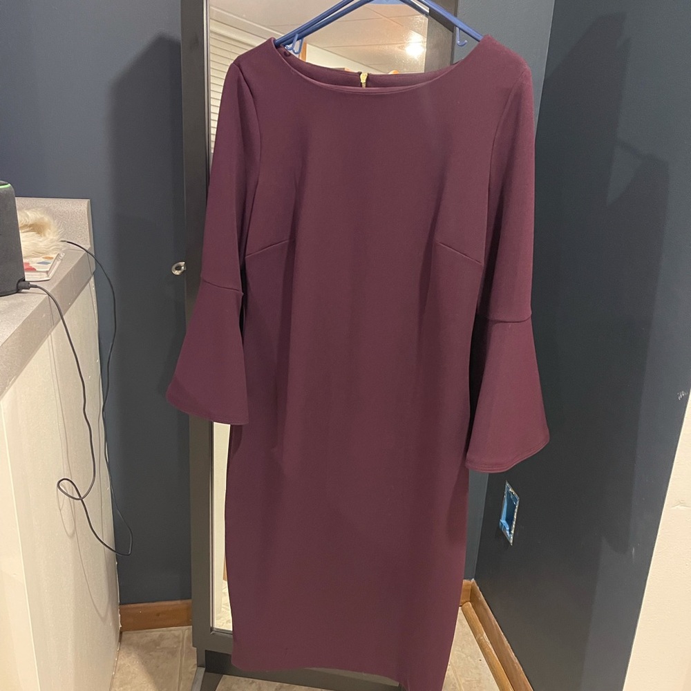 Cute plum colored dress for work or a cocktail party! Calvin Klein size 10.